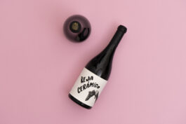  Rio Basel Visuelle Kommunikation