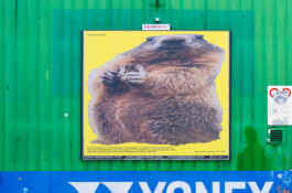  Rio Basel Visuelle Kommunikation