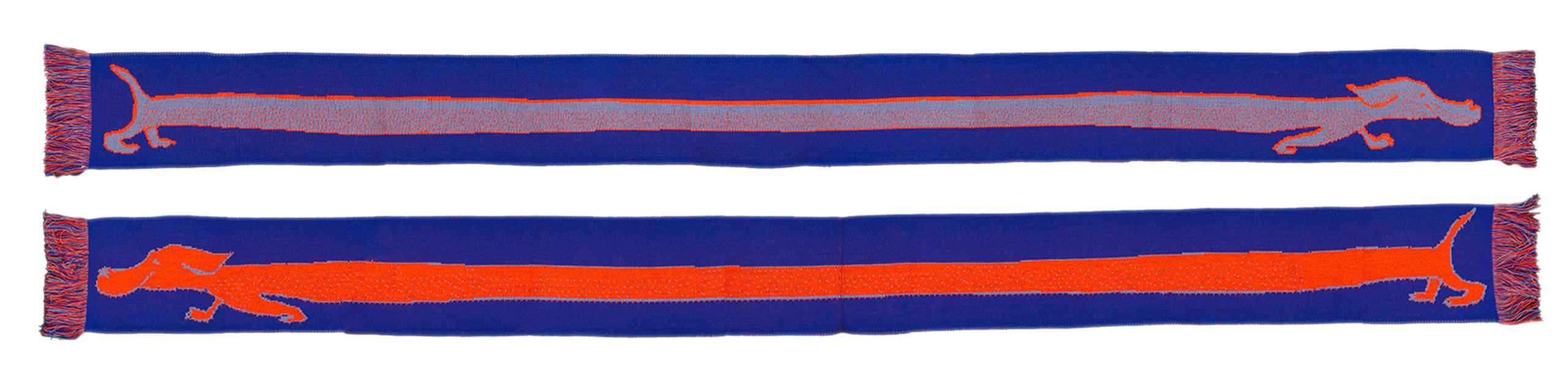 Rio Basel Visuelle Kommunikation