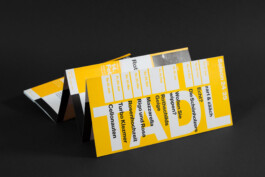  Rio Basel Visuelle Kommunikation